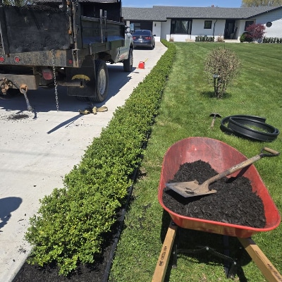 Mulching